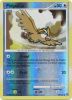 Pokemon Card - D&P: Secret Wonders 99/132 - PIDGEY Lv.8 (reverse holo) (Mint)