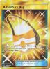 Pokemon Card - S&M: Lost Thunder 228/214 - ADVENTURE BAG (secret - holo-foil) (Mint)