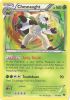 Pokemon Card - XY 14/146 - CHESNAUGHT (holo-foil) (Mint)