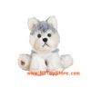 Lil'Kinz Virtual Pet Plush - HUSKY (6 inch) (Mint - Unused Code)
