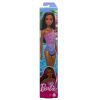 Mattel Barbie Doll - BEACH BARBIE [Dark Brown in Purple Swimsuit] HPV20 (Mint)