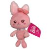 Mattel Barbie Pets Plush Stuffed Animal - BUNNY [8 inch] HPJ25 (Mint)
