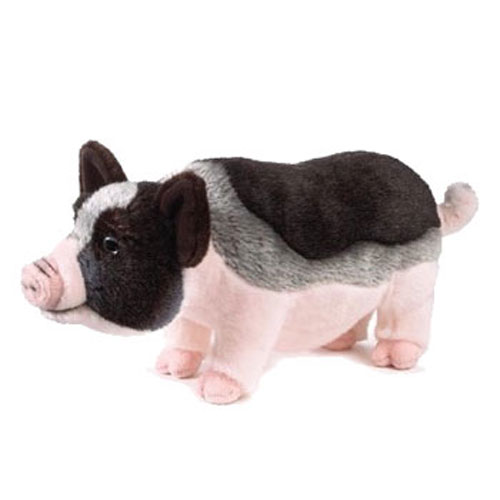 Webkinz Lil' Pig for sale online 