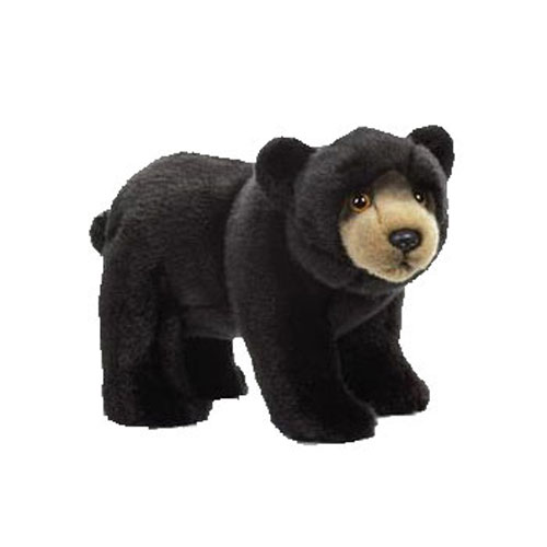 Webkinz Black Bear for sale online 