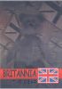 TY Beanie Babies BBOC Card - Series 2 Rare Bear (SILVER) - BRITANNIA the Bear (Mint)