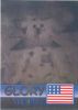 TY Beanie Babies BBOC Card - Series 2 Rare Bear (BLUE) - GLORY the Bear (Mint)