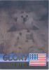 TY Beanie Babies BBOC Card - Series 2 Rare Bear (GREEN) - GLORY the Bear (Mint)