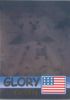 TY Beanie Babies BBOC Card - Series 2 Rare Bear (GOLD) - GLORY the Bear (Mint)
