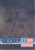 TY Beanie Babies BBOC Card - Series 2 Rare Bear (SILVER) - GLORY the Bear (Mint)