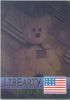 TY Beanie Babies BBOC Card - Series 2 Rare Bear (GREEN) - LIBEARTY the Bear (Mint)