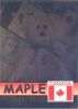 TY Beanie Babies BBOC Card - Series 2 Rare Bear (GREEN) - MAPLE the Bear (Mint)