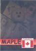 TY Beanie Babies BBOC Card - Series 2 Rare Bear (GOLD) - MAPLE the Bear (Mint)