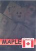 TY Beanie Babies BBOC Card - Series 2 Rare Bear (SILVER) - MAPLE the Bear (Mint)