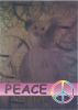 TY Beanie Babies BBOC Card - Series 2 Rare Bear (GREEN) - PEACE The Bear (Mint)