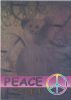 TY Beanie Babies BBOC Card - Series 2 Rare Bear (GOLD) - PEACE The Bear (Mint)