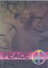 TY Beanie Babies BBOC Card - Series 2 Rare Bear (SILVER) - PEACE The Bear (Mint)