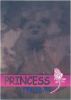 TY Beanie Babies BBOC Card - Series 2 Rare Bear (BLUE) - PRINCESS the Bear (Mint)