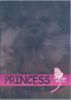TY Beanie Babies BBOC Card - Series 2 Rare Bear (SILVER) - PRINCESS the Bear (Mint)