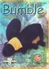 TY Beanie Babies BBOC Card - Series 2 Retired (GREEN) - BUMBLE the Bee (Mint)
