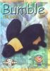 TY Beanie Babies BBOC Card - Series 2 Retired (GOLD) - BUMBLE the Bee (Mint)
