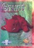 TY Beanie Babies BBOC Card - Series 2 Retired (BLUE) - GRUNT the Razorback (Mint)