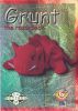TY Beanie Babies BBOC Card - Series 2 Retired (GREEN) - GRUNT the Razorback (Mint)