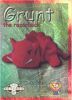 TY Beanie Babies BBOC Card - Series 2 Retired (GOLD) - GRUNT the Razorback (Mint)