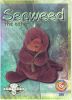 TY Beanie Babies BBOC Card - Series 2 Retired (GREEN) - SEAWEED the Otter (Mint)
