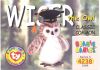 TY Beanie Babies BBOC Card - Series 4 - Classic Commons - WISER the Graduation Owl (Mint)
