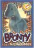 TY Beanie Babies BBOC Card - Series 4 Wild (ORANGE) - BRONTY the Dinosaur (Mint)