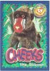 TY Beanie Babies BBOC Card - Series 4 Wild (PURPLE) - CHEEKS the Baboon (Mint)