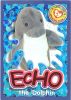 TY Beanie Babies BBOC Card - Series 4 Wild (ORANGE) - ECHO the Dolphin (Mint)