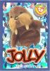 TY Beanie Babies BBOC Card - Series 4 Wild (ORANGE) - JOLLY the Walrus (Mint)