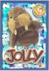 TY Beanie Babies BBOC Card - Series 4 Wild (SILVER) - JOLLY the Walrus (Mint)
