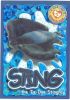 TY Beanie Babies BBOC Card - Series 4 Wild (SILVER) - STING the Stingray (Mint)