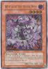 Yu-Gi-Oh Card - ABPF-EN012 - WITCH OF THE BLACK ROSE (ultimate rare holo) (Mint)