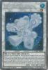 Yu-Gi-Oh Card - ANGU-EN033 - URSARCTIC POLARI (collectors rare holo) (Mint)