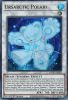 Yu-Gi-Oh Card - ANGU-EN033 - URSARCTIC POLARI (ultra rare holo) (Mint)