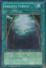 Yu-Gi-Oh Card - ANPR-EN048 - ANCIENT FOREST (super rare holo) (Mint)
