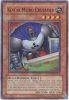 Yu-Gi-Oh Card - ANPR-EN019 - KOA'KI MEIRU CRUSADER (super rare holo) (Mint)