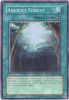 Yu-Gi-Oh Card - ANPR-EN048 - ANCIENT FOREST (super rare holo) (Mint)