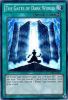 Yu-Gi-Oh Card - AP01-EN013 - THE GATES OF DARK WORLD (super rare holo) (Mint)