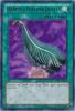 Yu-Gi-Oh Card - BP01-EN035 - HARPIE'S FEATHER DUSTER (starfoil rare) (Mint)