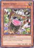 Yu-Gi-Oh Card - BP01-EN204 - NOISY GNAT (common) (Mint)