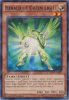 Yu-Gi-Oh Card - BP03-EN022 - HERALD OF GREEN LIGHT (shatterfoil rare) (Mint)