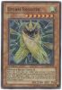 Yu-Gi-Oh Card - CDIP-EN032 - STORM SHOOTER (super rare holo) (Mint)