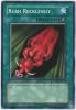 Yu-Gi-Oh Card - CP02-EN013 - RUSH RECKLESSLY (common) (Mint)