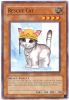 Yu-Gi-Oh Card - CP05-EN015 - RESCUE CAT (common) (Mint)