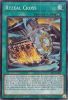 Yu-Gi-Oh Card - CRBR-EN009 - RYZEAL CROSS (collectors rare holo) (Mint)