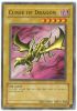Yu-Gi-Oh Card - SDY-008 - CURSE OF DRAGON (common) (Mint)